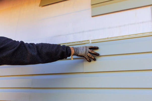 Custom Trim and Detailing for Siding in Alorton, IL